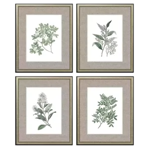White Flowers S/4 Framed Art