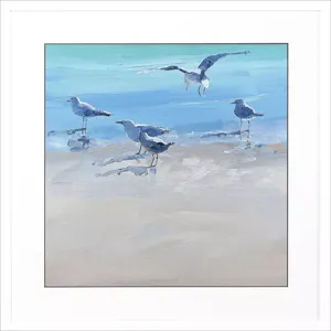 In the Shallows 2 Framed Art