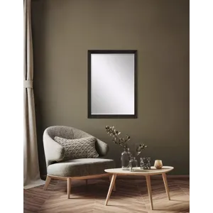 #781 24 x 36 Beveled Mirrors