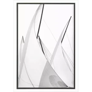 Full Sails - Breeze Framed Art