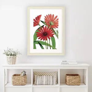 Osteospermum Framed Art