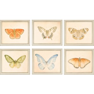 Butterflies Pk/6 Gicle