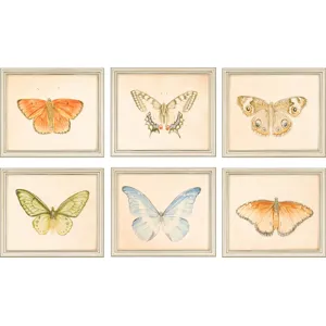Butterflies Pk/6 Gicle