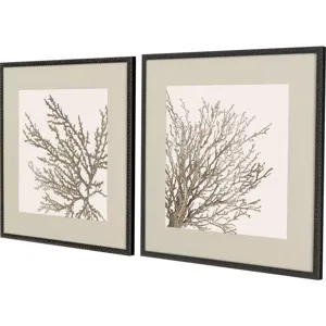 Taupe Coral S/2 Framed Art