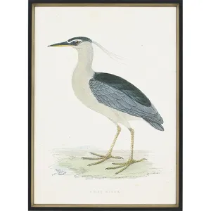Herons S/2