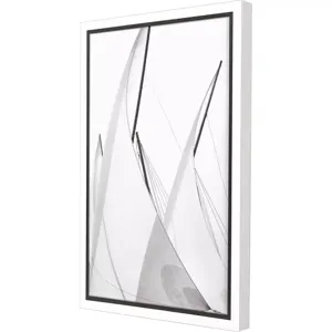 Full Sails -  Breeze Framed Art