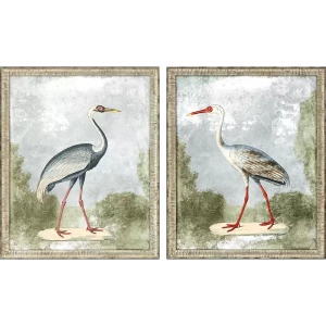 Cranes I S/2