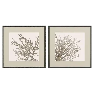 Taupe Coral S/2 Framed Art