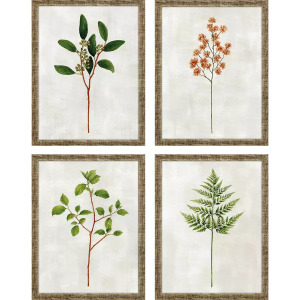 Botanical I S/4