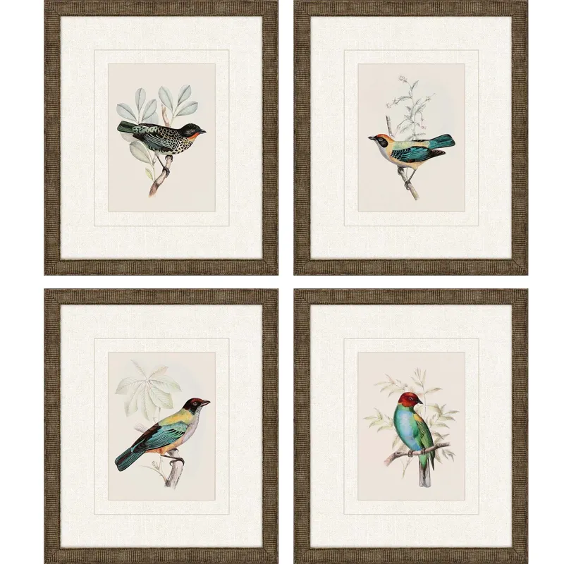 On Perch I S/4 Framed Art