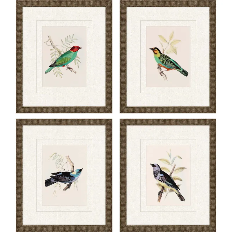 On Perch II S/4 Framed Art