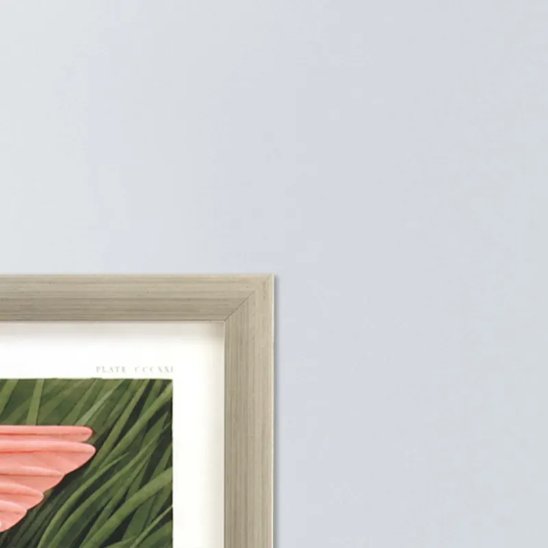 Roseate Spoonbill Framed Art