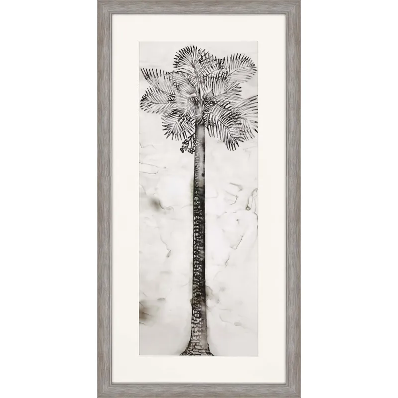 Palmae Framed Art