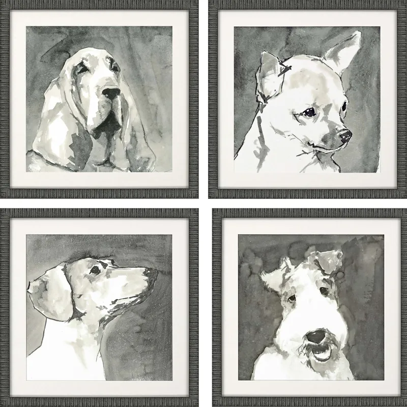 Modern Dog S/4 Framed Art