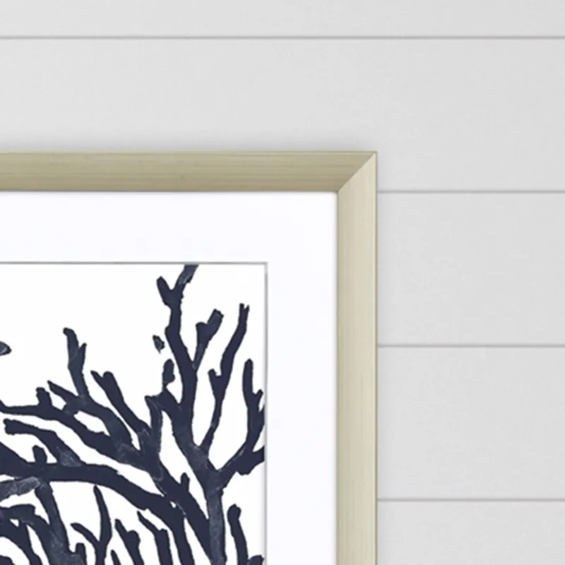 Blue Coral II S/2 Framed Art