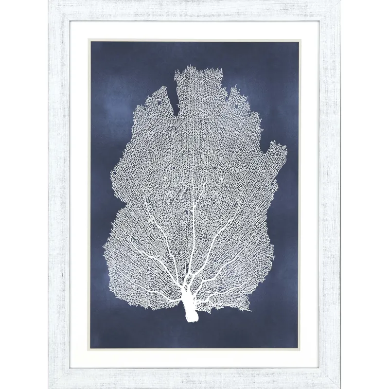 Sea Fan on Blue I Framed Art