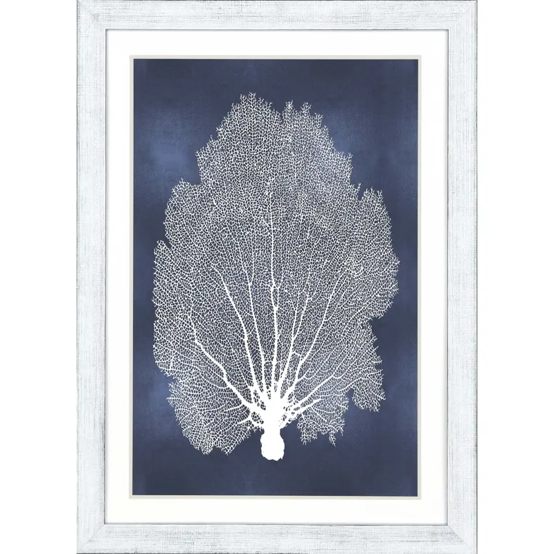 Sea Fan on Blue II Framed Art