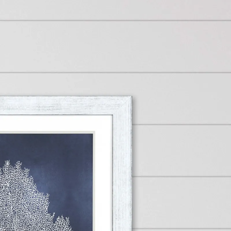 Sea Fan on Blue II Framed Art