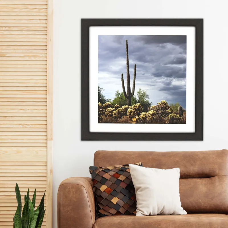 Saguaro Centurion Framed Art