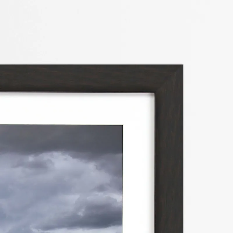 Saguaro Centurion Framed Art