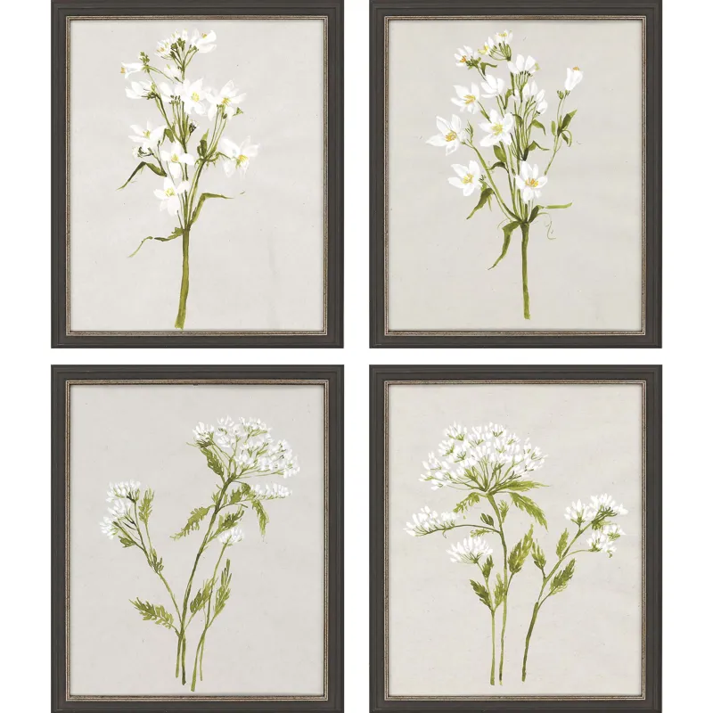White Field Flowers S/4 Framed Art