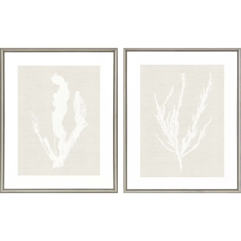Seaweed S/2 Framed Art