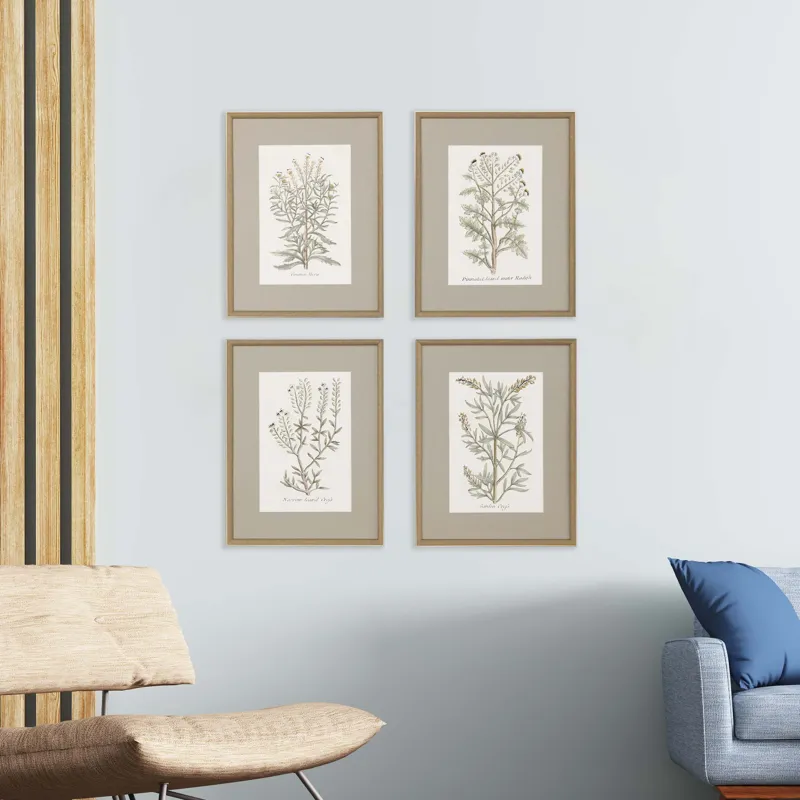 Botanical Plants S/4 Framed Art