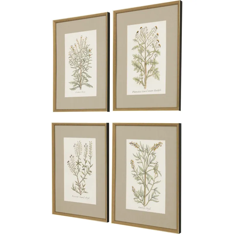Botanical Plants S/4 Framed Art