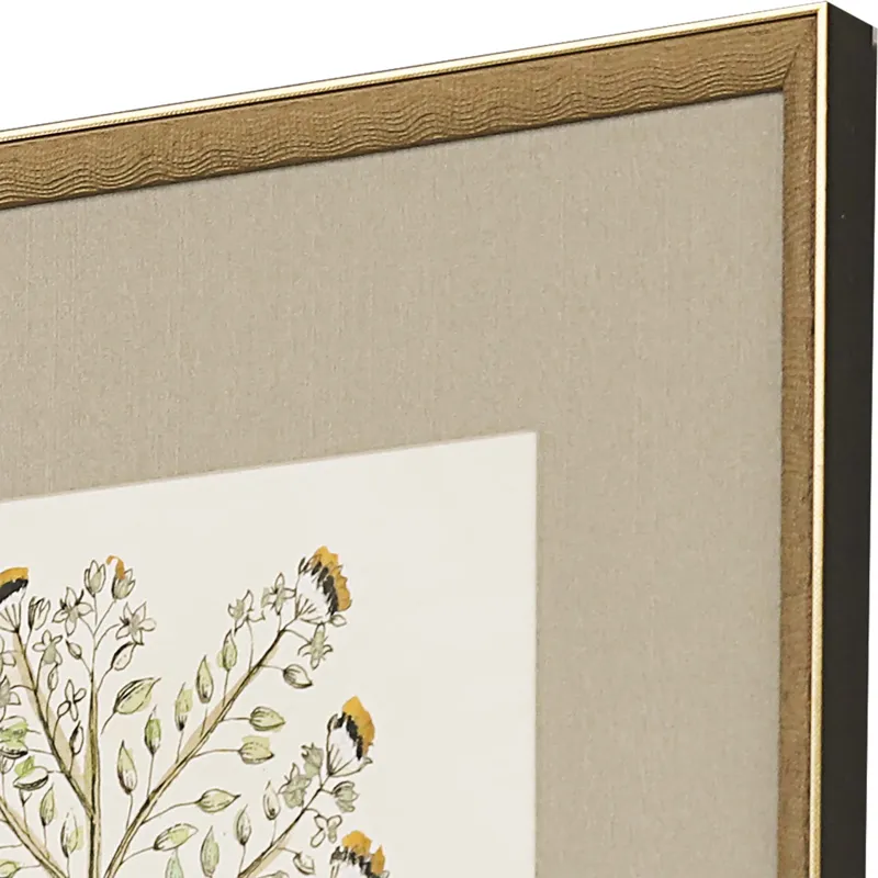 Botanical Plants S/4 Framed Art