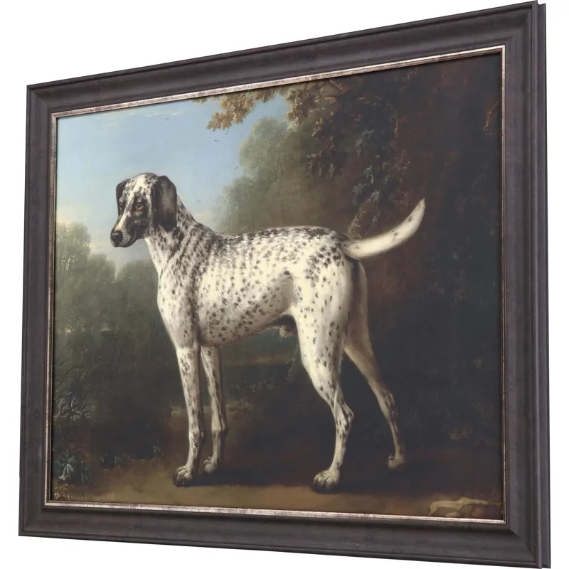 Grey Spotted Hound Framed Art