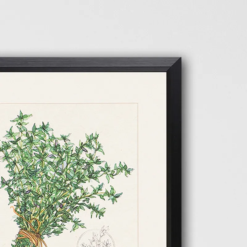 Herbs S/4 Framed Art