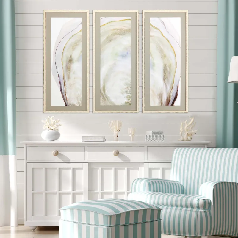 Oyster Shell S/3 Framed Art