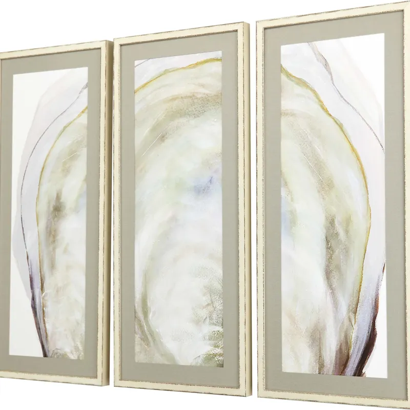 Oyster Shell S/3 Framed Art