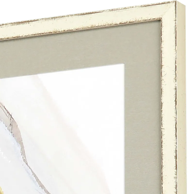 Oyster Shell S/3 Framed Art
