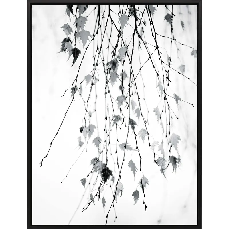 Subtle Canvas