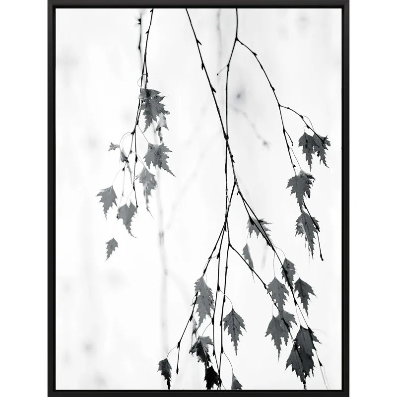 Hanging Canvas