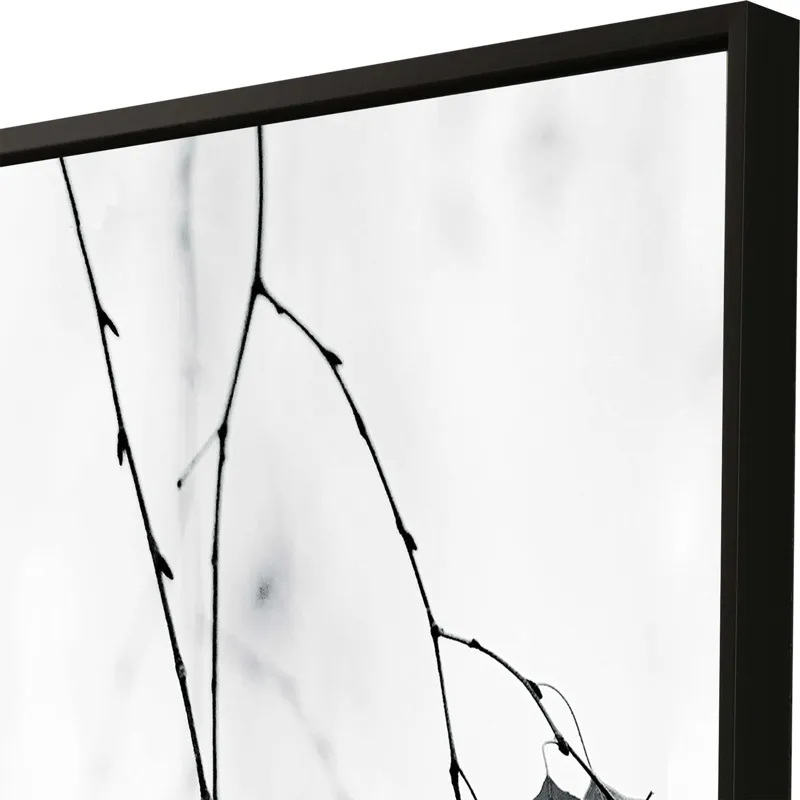 Hanging Canvas