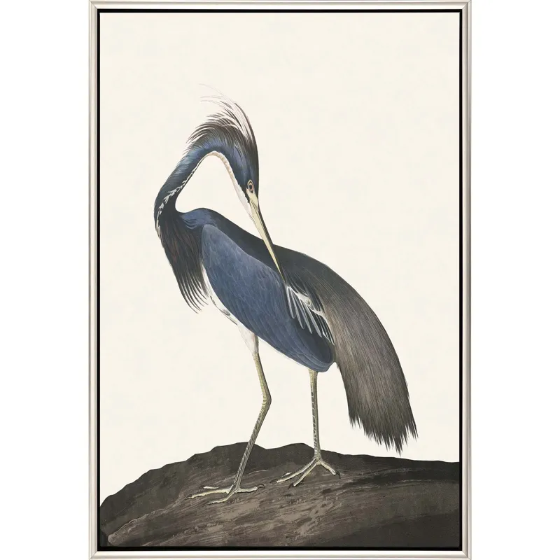 Great Heron II Canvas