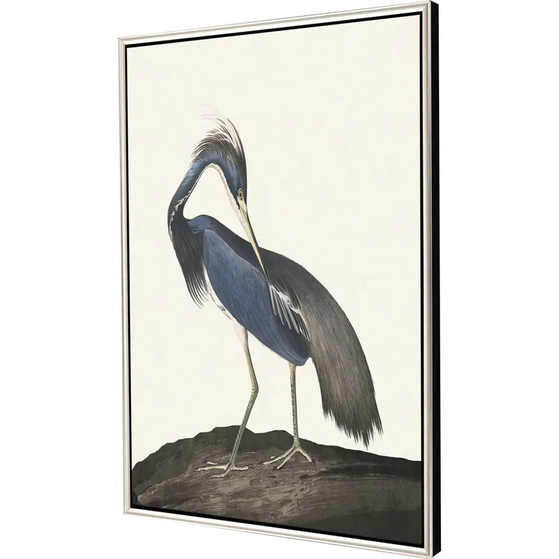 Great Heron II Canvas