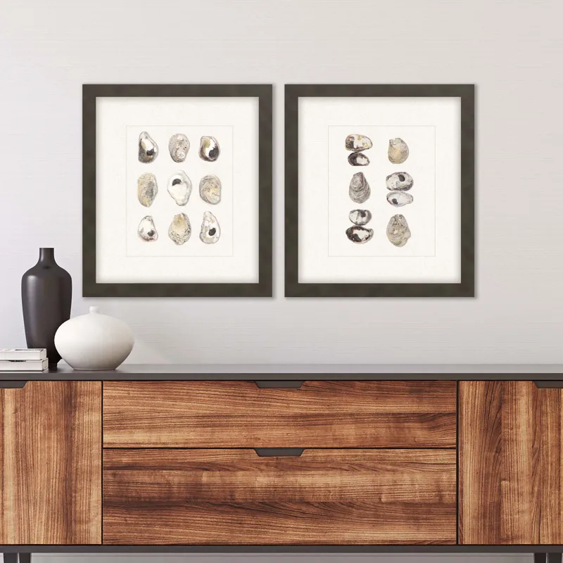 Shell Series S/2 Framed Art