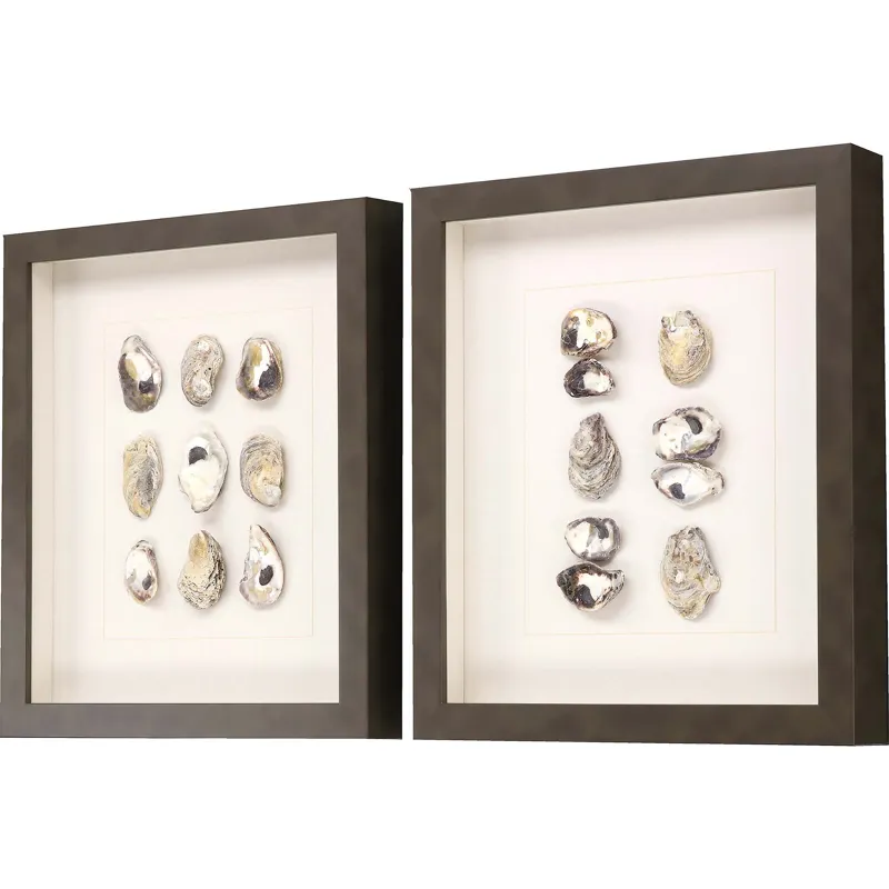 Shell Series S/2 Framed Art