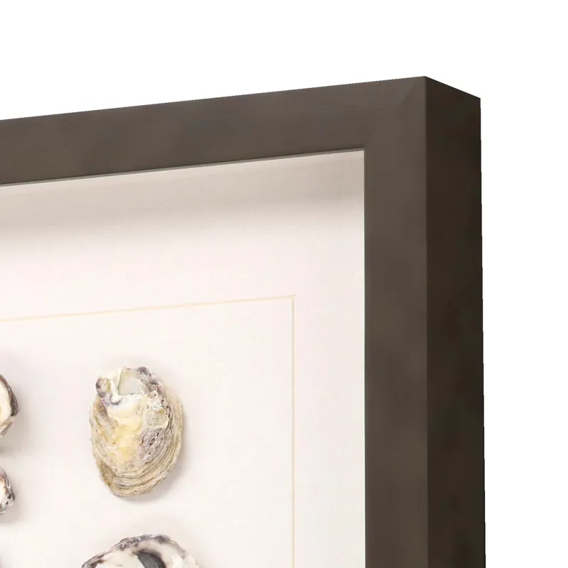Shell Series S/2 Framed Art
