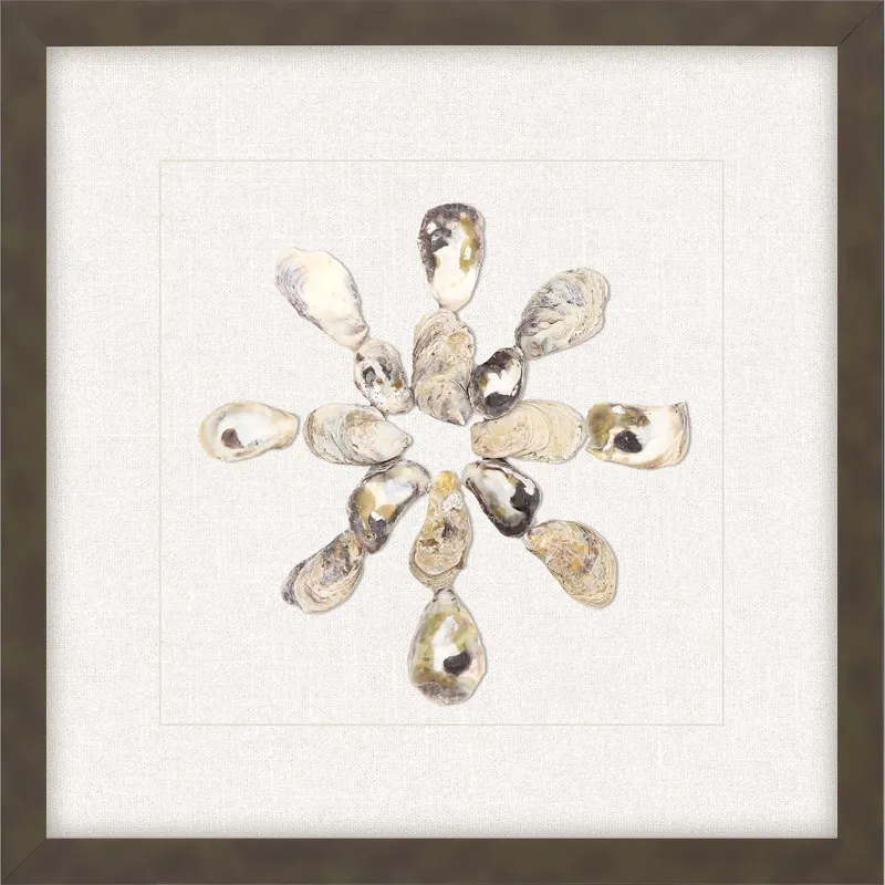 Oyster Shell I Framed Art