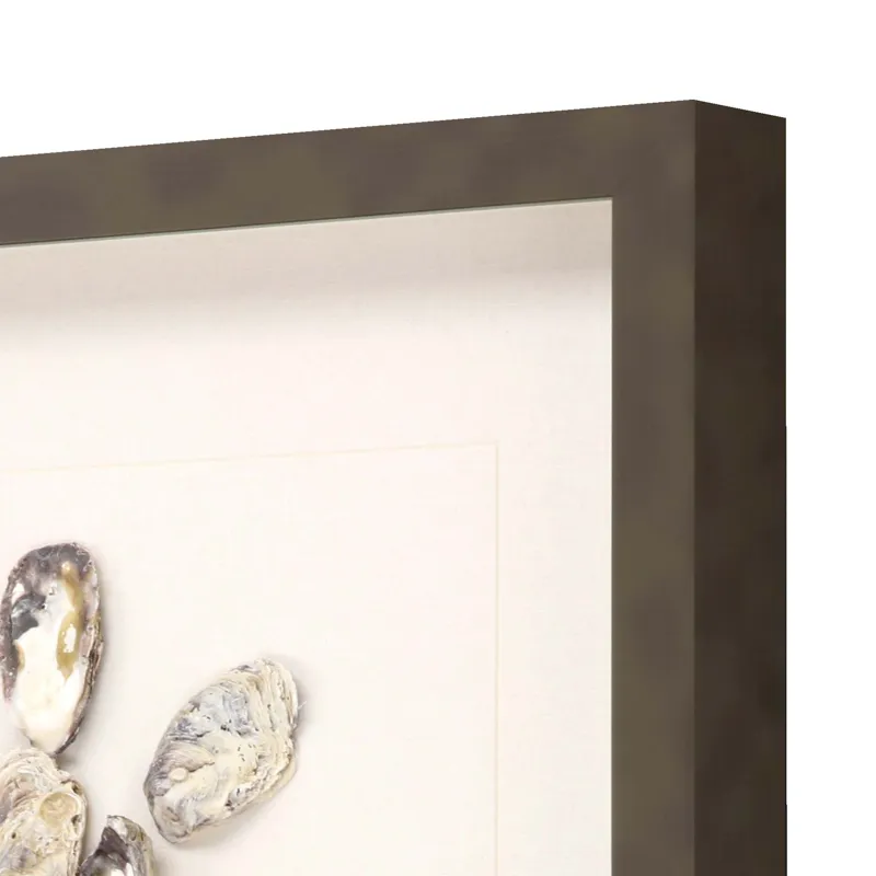 Oyster Shell I Framed Art