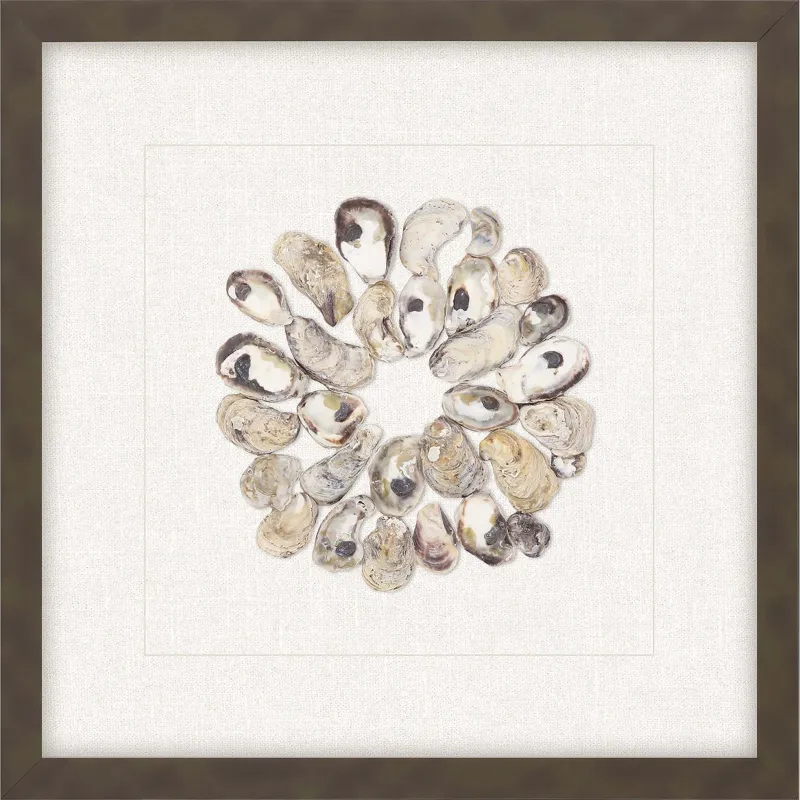 Oyster Shell II Framed Art