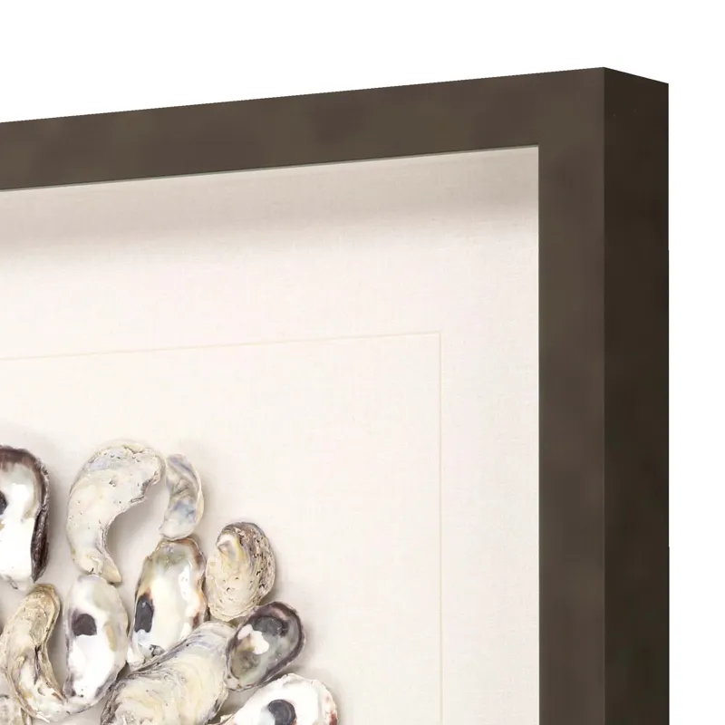 Oyster Shell II Framed Art