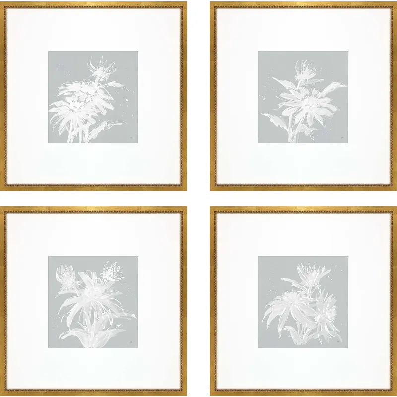 Echinacea S/4 Framed Art