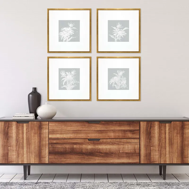 Echinacea S/4 Framed Art