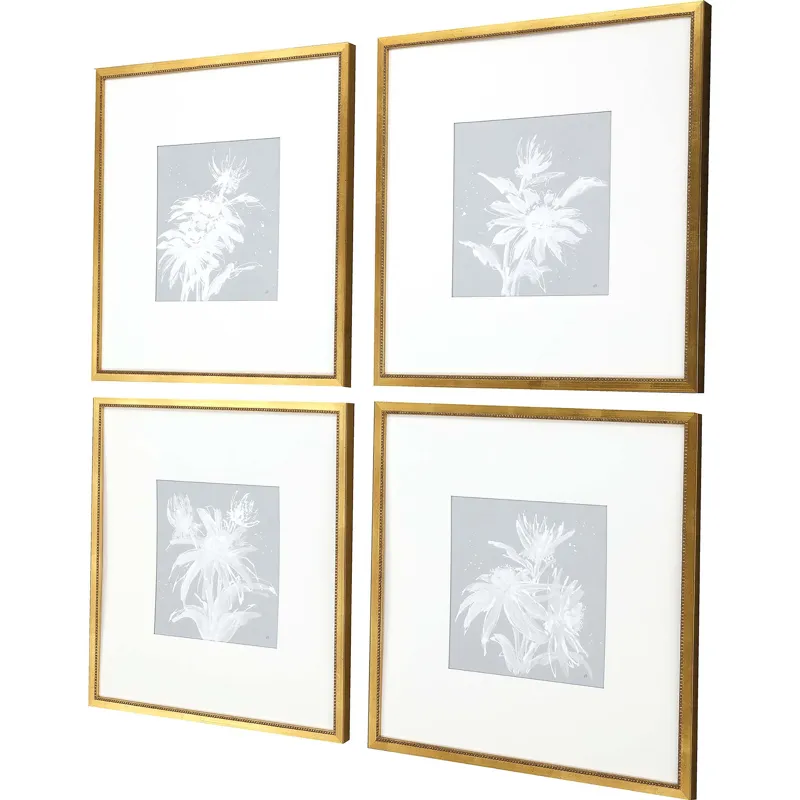 Echinacea S/4 Framed Art