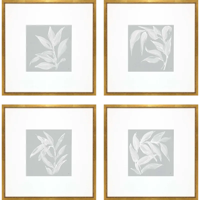 Leaf Study S/4 Framed Art